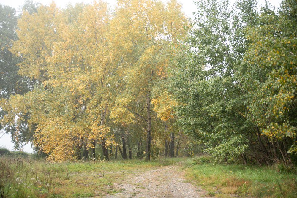 Photograph by Наталья Сорокина