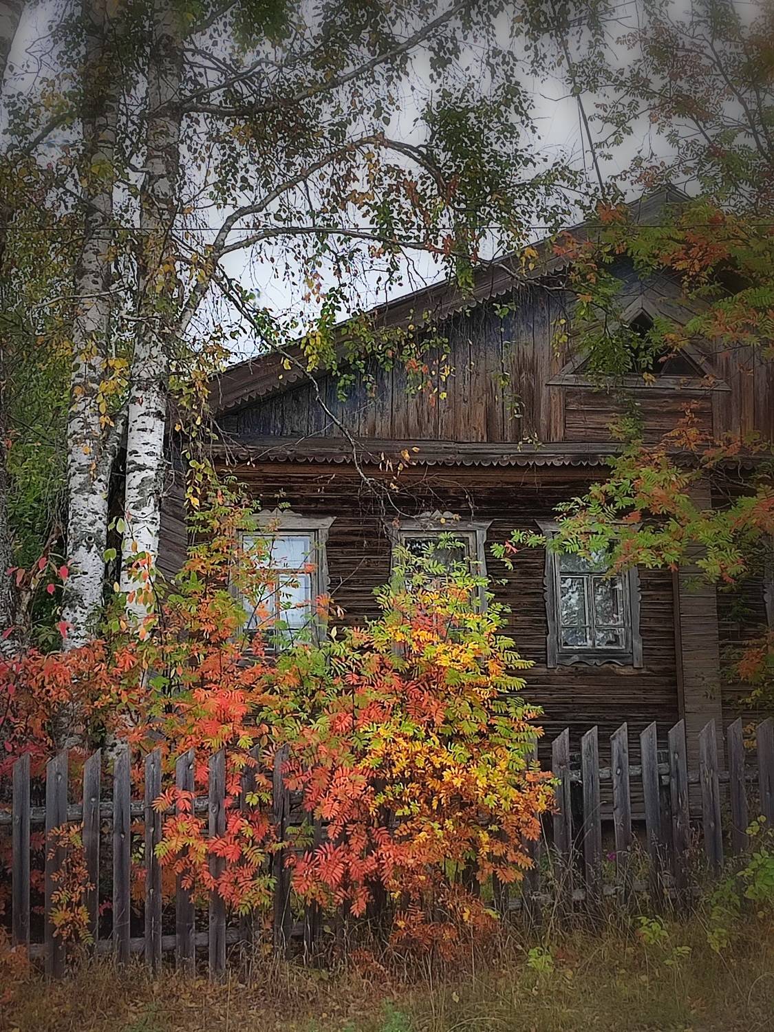 Photo #9594484