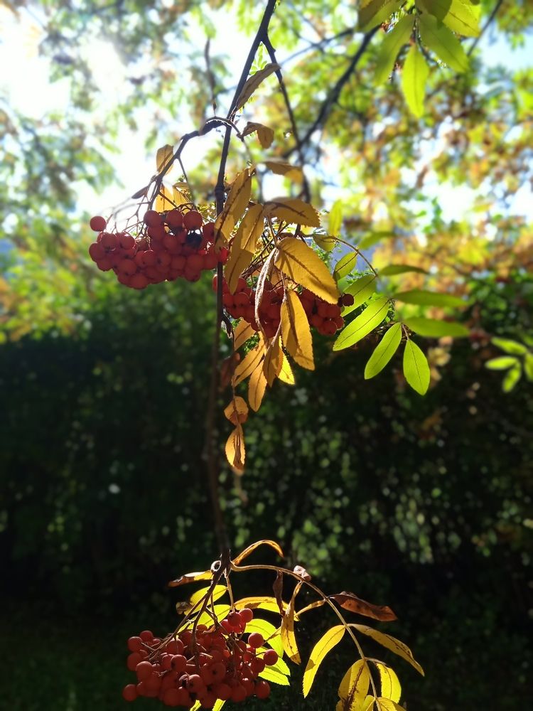 Photograph by Наталья Сорокина