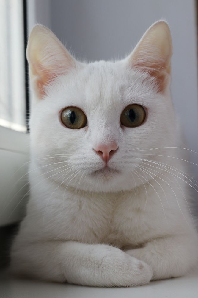 Photograph by Вася Кадочников