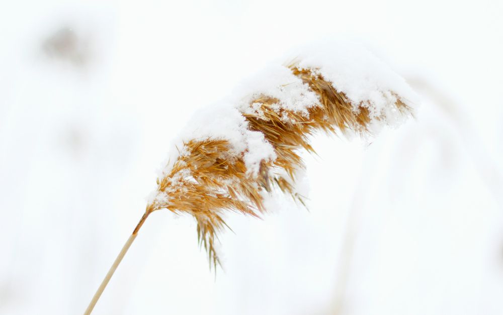 Photograph by Вася Кадочников