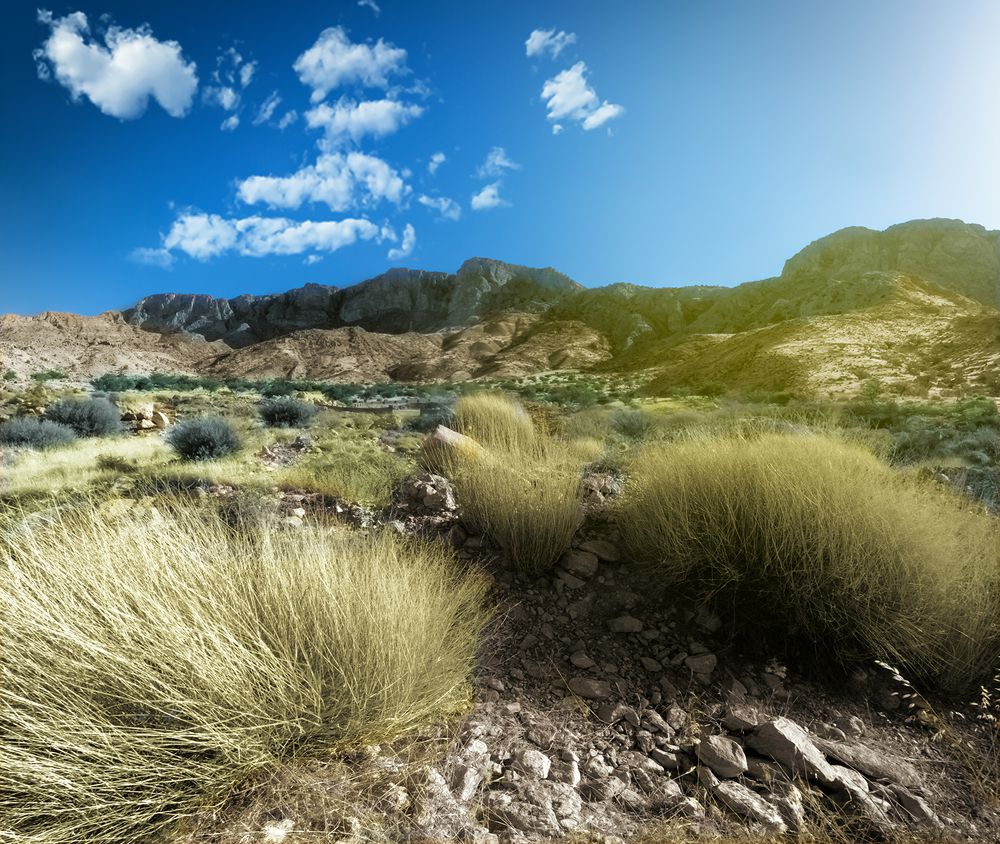 Photograph by ali naghmachi