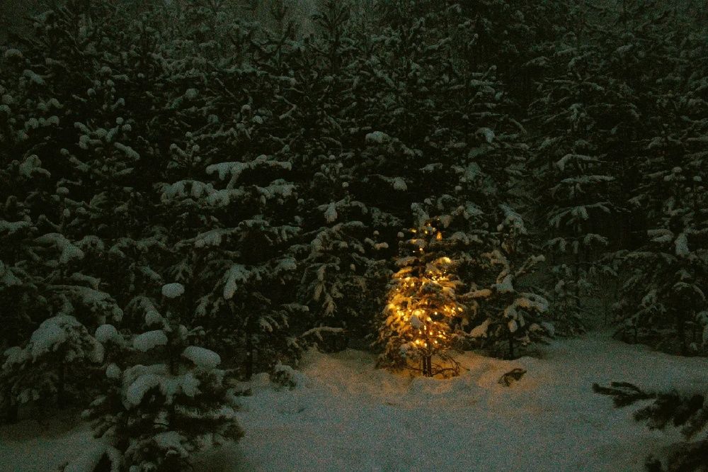 Photograph by Влад Богаткин