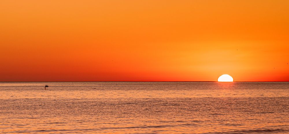 Photograph by Юрий Киреичев