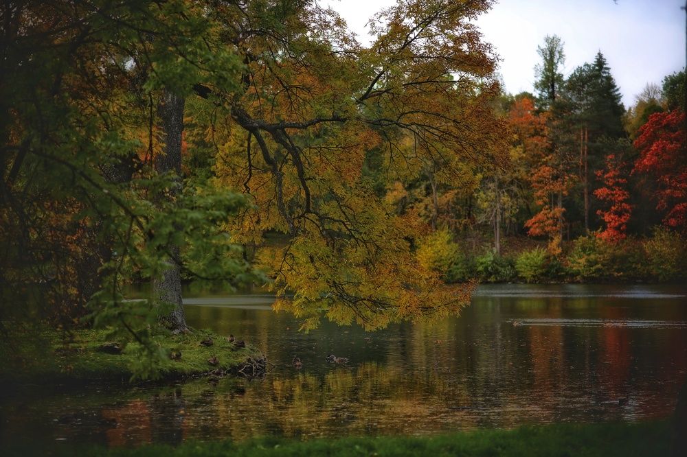 Photograph by Марина Алгаева