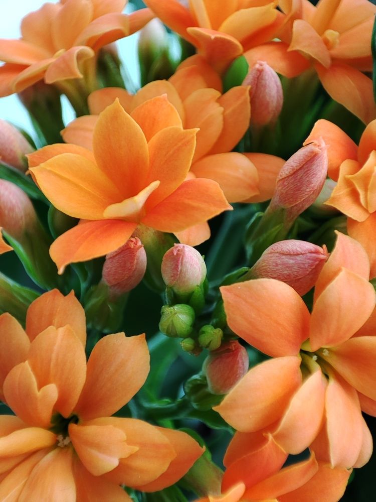 Photograph by Анастасия