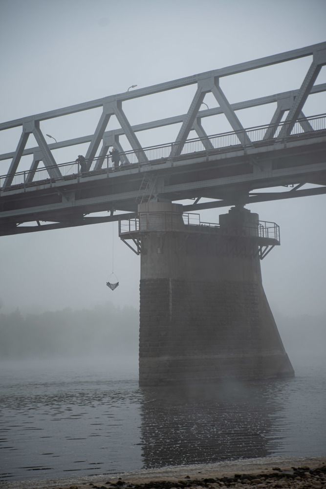 Photograph by Наталья Сорокина