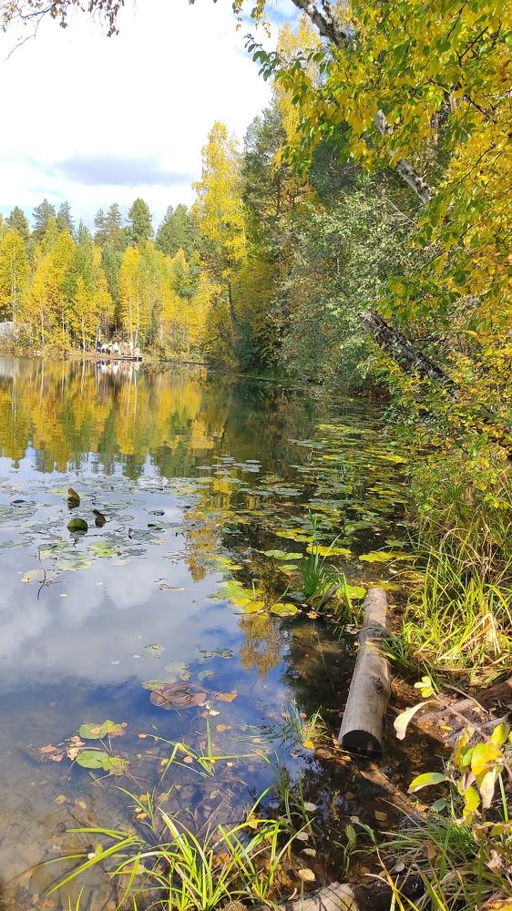 Photograph by Наталья