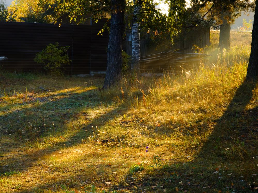 Photo #9594652