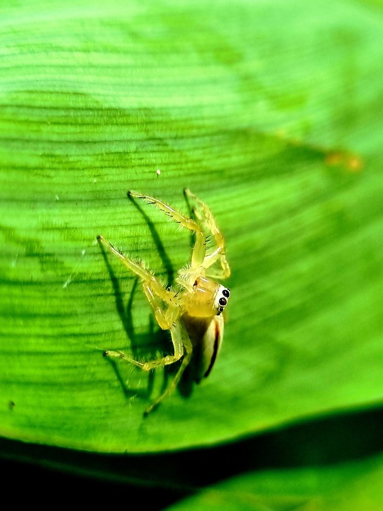 Photograph by Nidhi Singh
