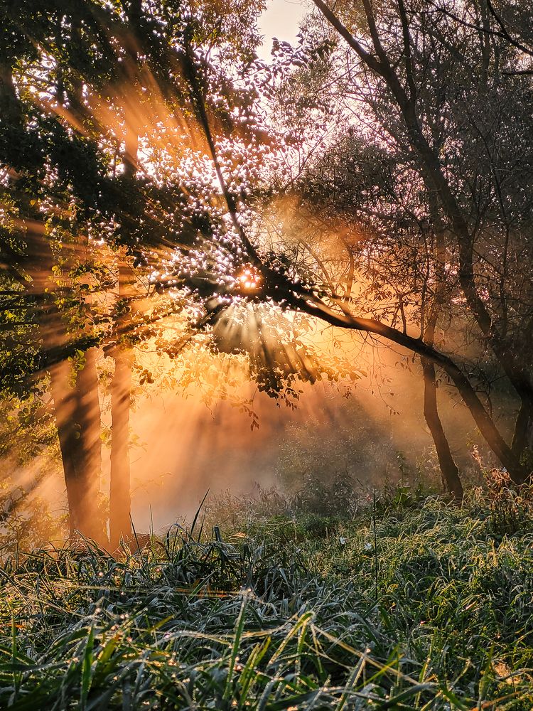 Photograph by Александр Тарасевич