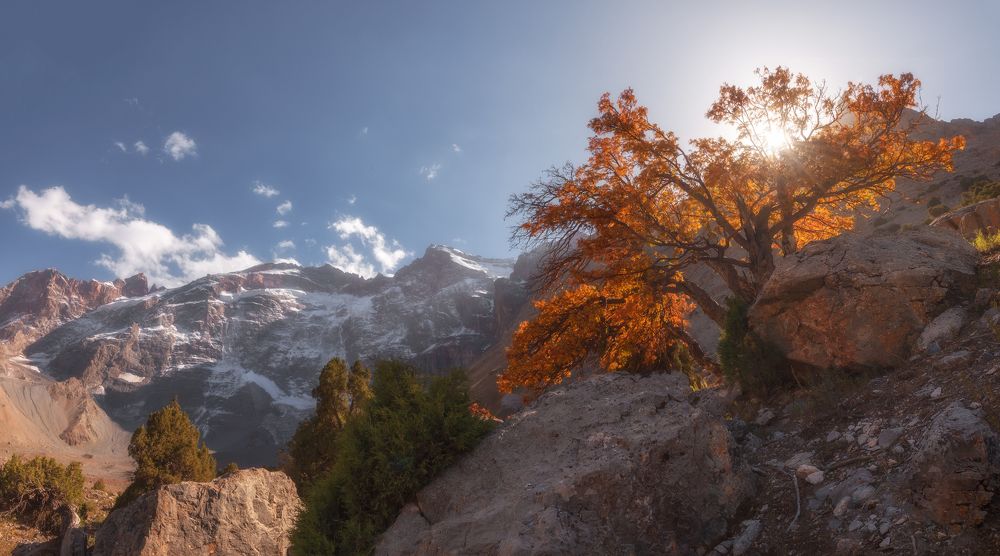 Photograph by Кахарова Наргиза