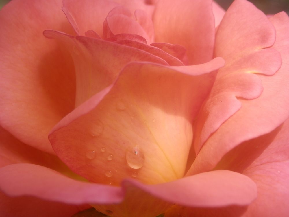 Photograph by Георгий Салюков