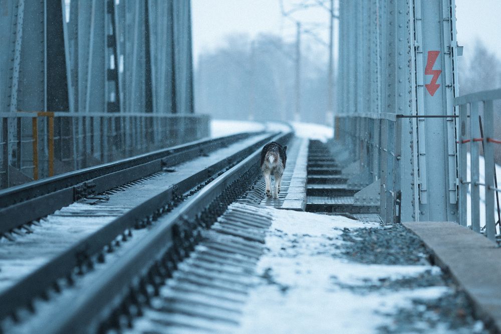 Photograph by Вероника Саратовцева