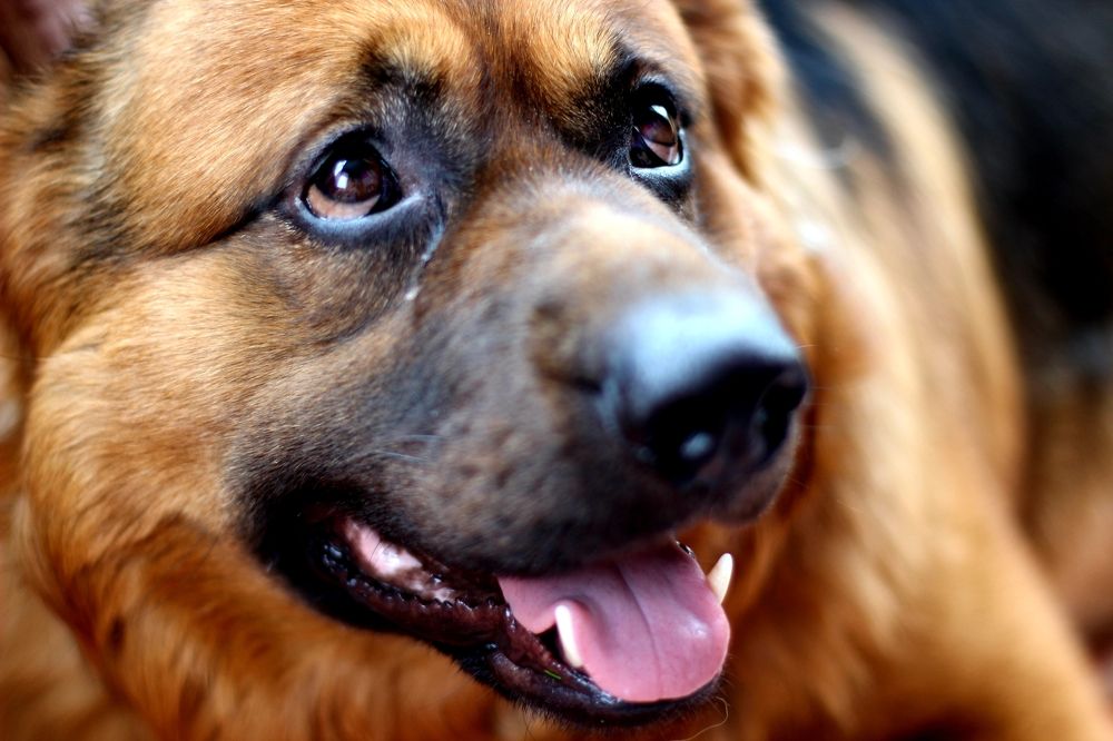 Photograph by Olga Александрова