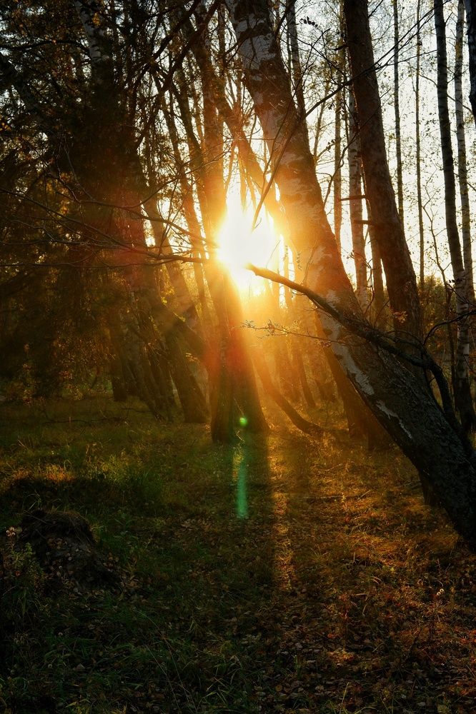 Фотография автора Екатерина Карасева