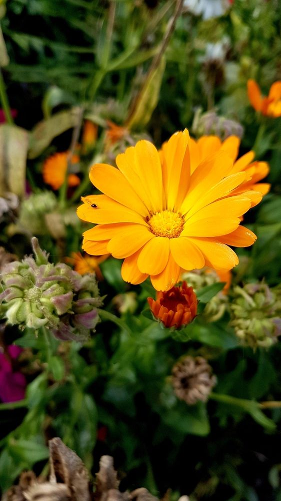 Photograph by Марина Козлова