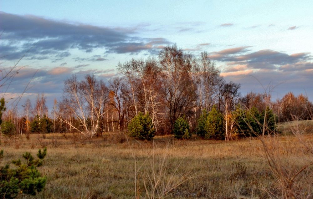 Photograph by Анна Восковых
