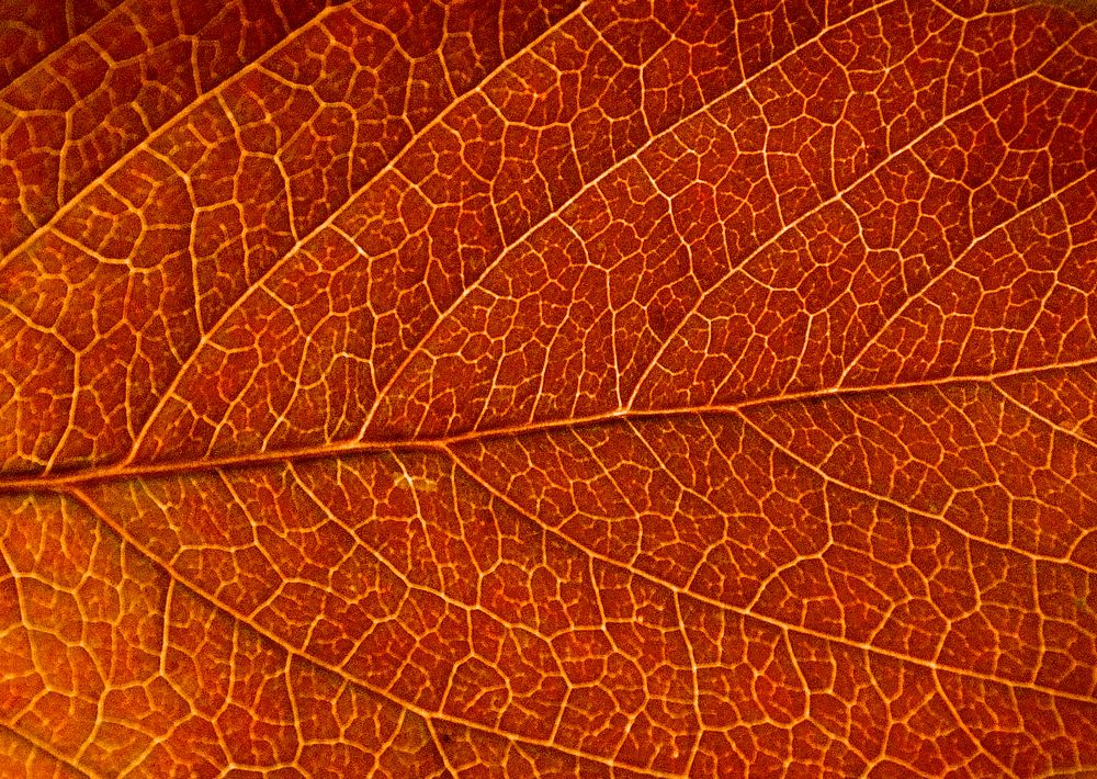 Photograph by Андрей Куликов