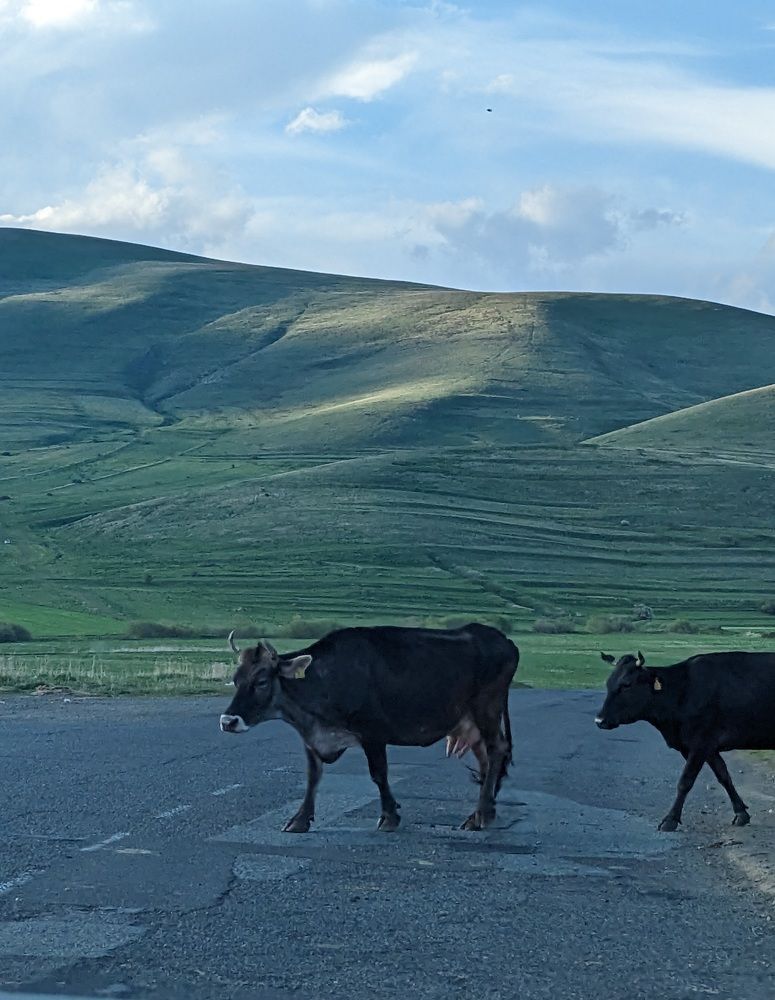 Photograph by Lilit Petrosyan