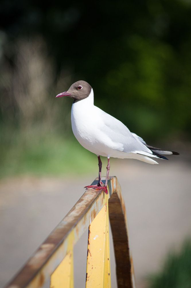 Photograph by Вася Кадочников