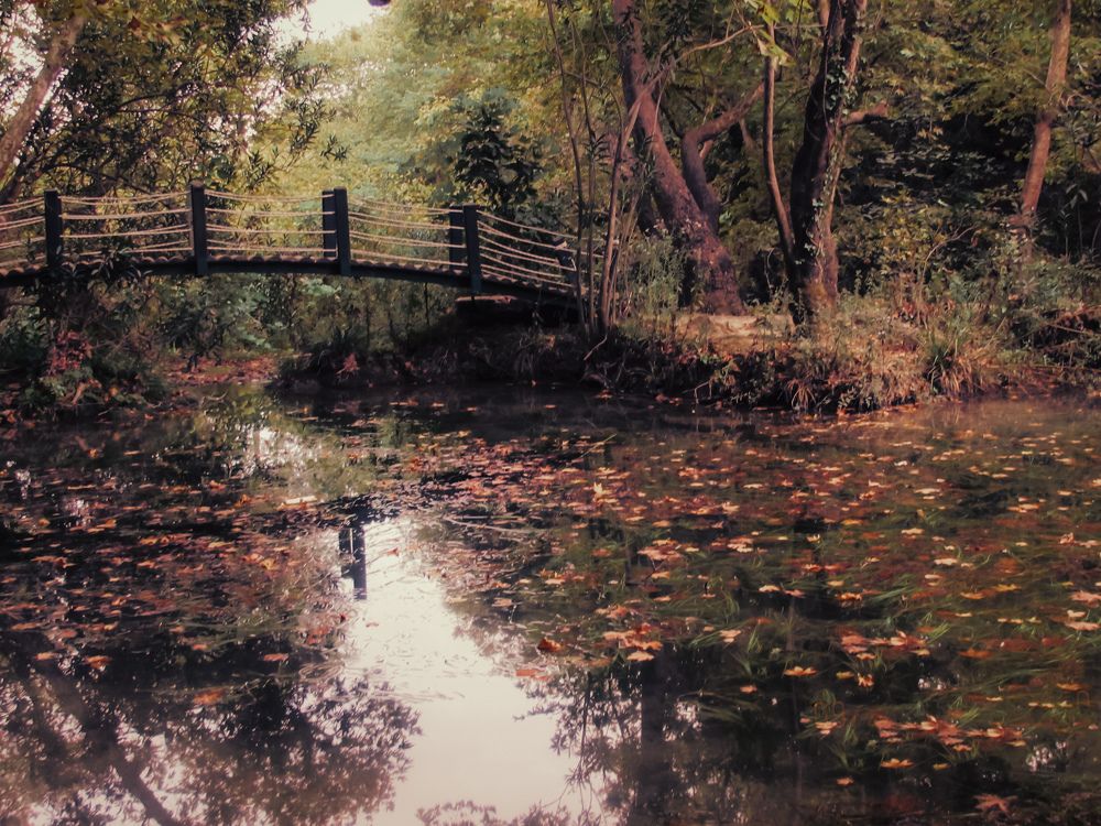 Photograph by Alp Aysgl