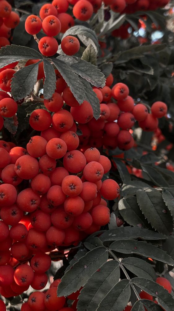 Photograph by Оксана Михайлова