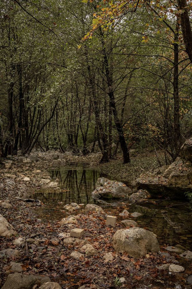 Photograph by Alp Aysgl