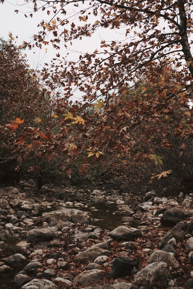 Photograph by Alp Aysgl