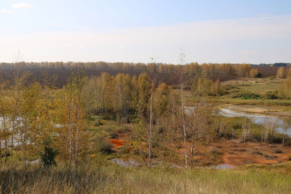 осень на пруду