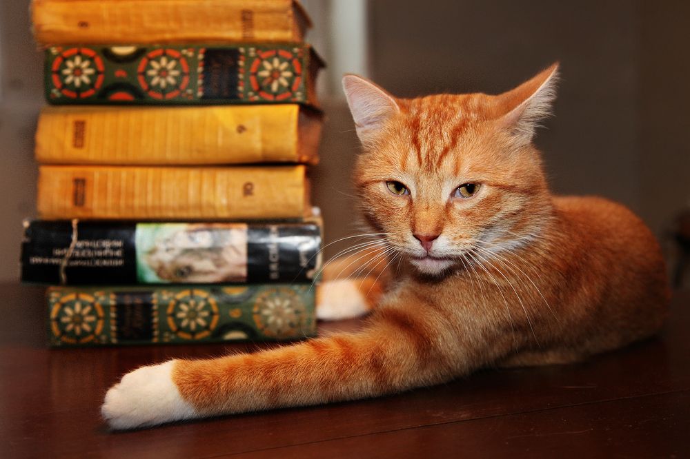 Photograph by Наталья Суслова