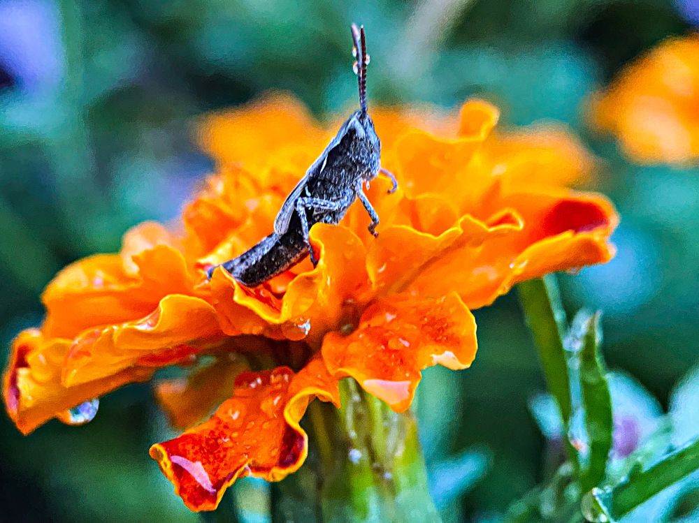 Photograph by Александра Гонтарь