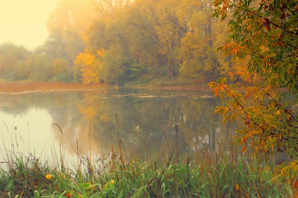 Photograph by Евсеева Валентина