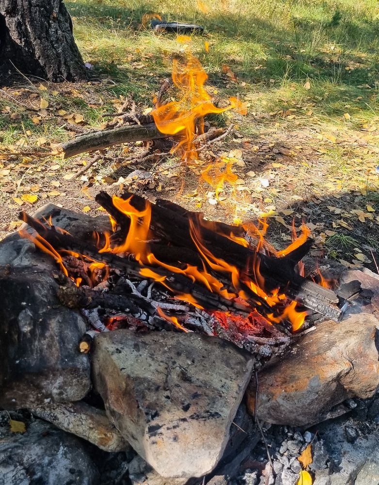 Photograph by Елена Ромашкина