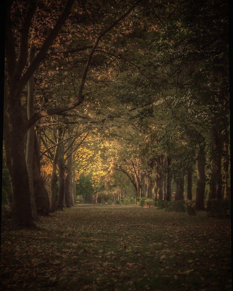 Photograph by Владимир Кульбит