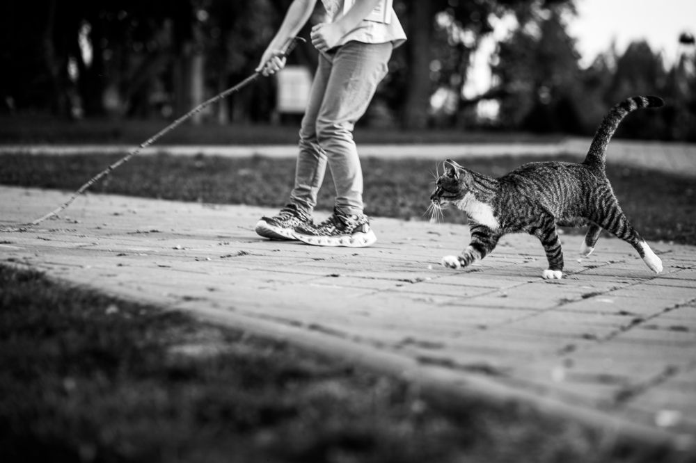Photograph by Евгений Гойло