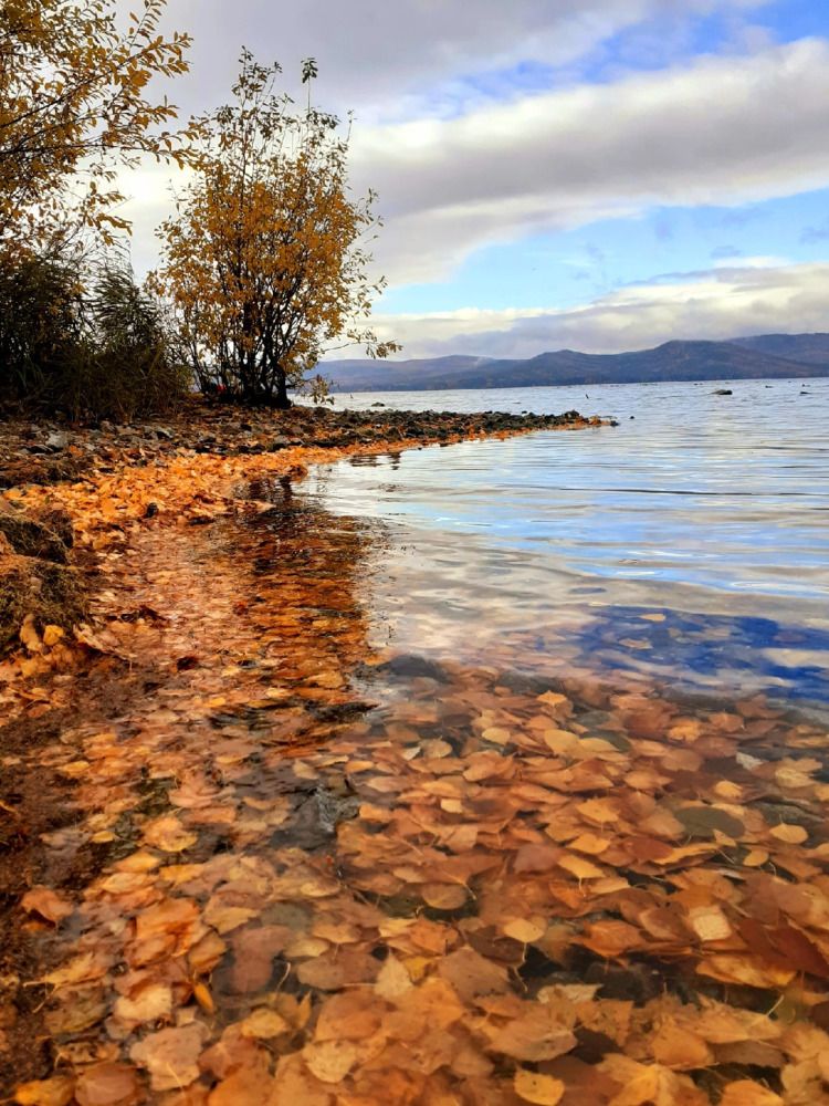 Photograph by Ирина Пичугина