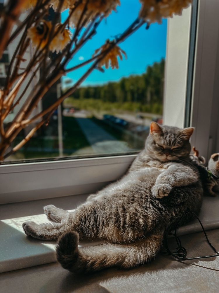 Photograph by Юлия Порецкая