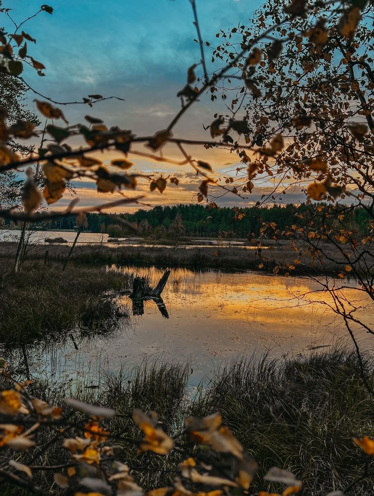 Photograph by Юлия Порецкая