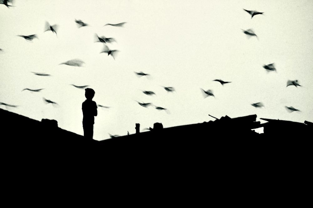 I wish I had a pair of wings