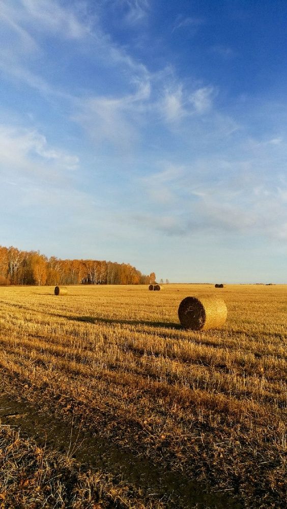 Photograph by Ирина Алпацкая