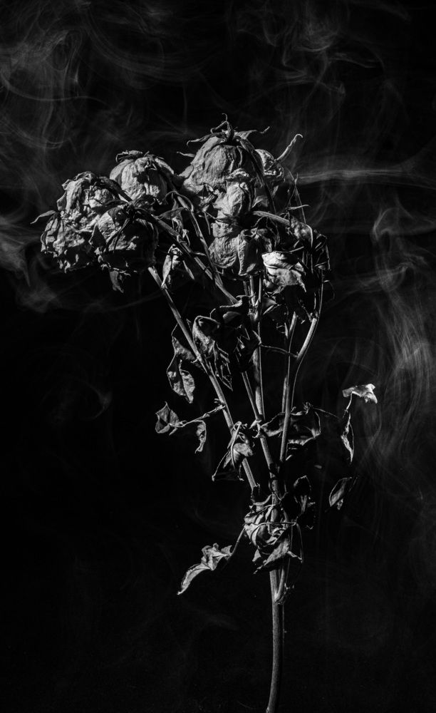 Photograph by Кирилл Рогов