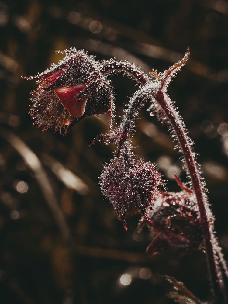 Photograph by Екатерина Котляренко