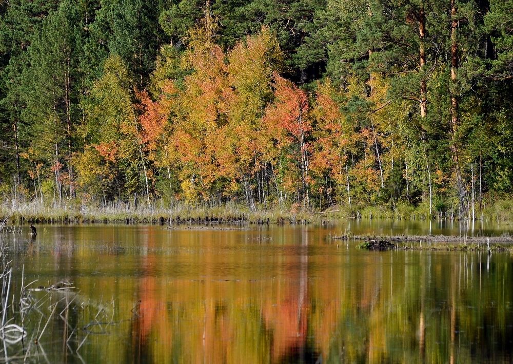 Photograph by Nadezhda