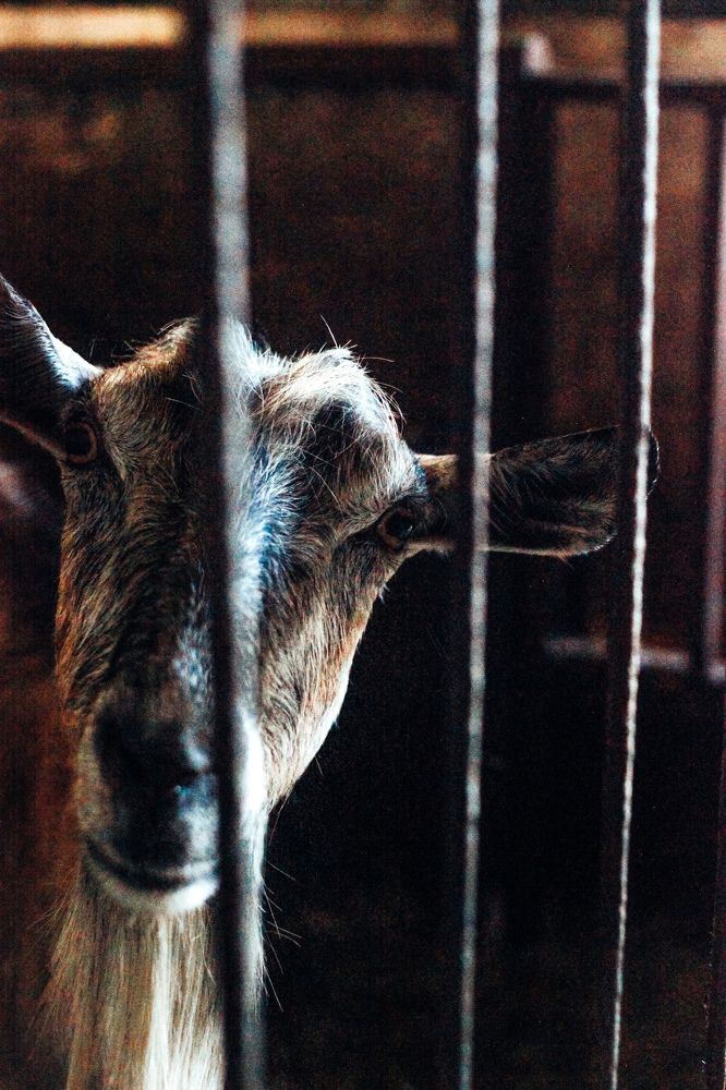 Photograph by Юлия Жукова