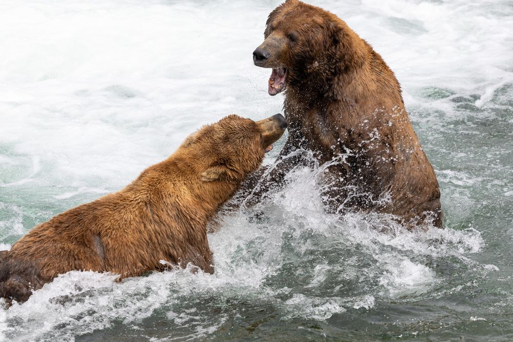 Photograph by Jared Solberg