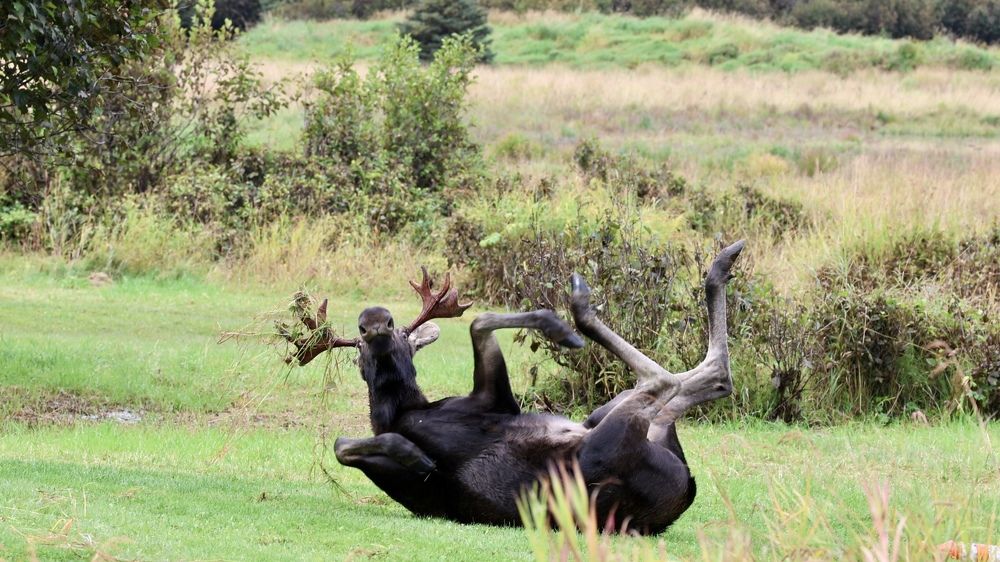 Photograph by Jared Solberg