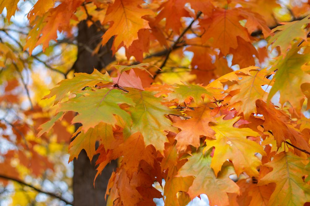 Photograph by Влад Барышов