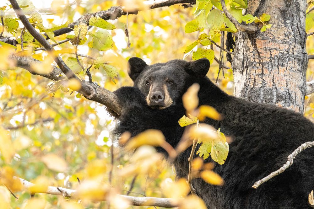 Photograph by Jared Solberg