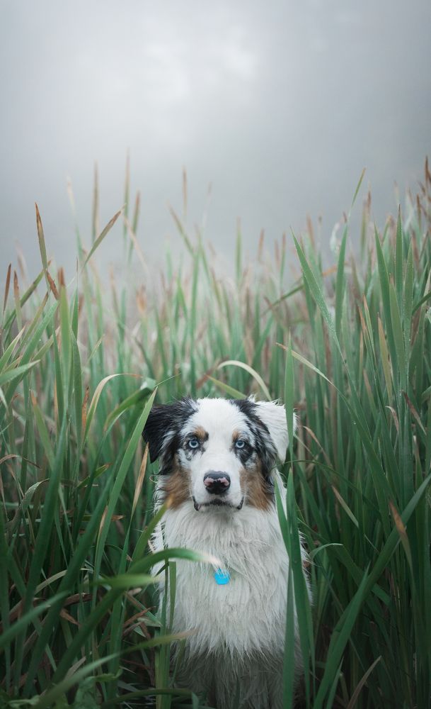 Photograph by Марина Шишкина